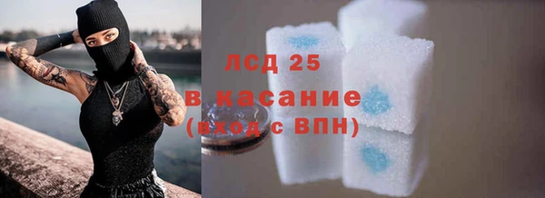 прущие грибы Беломорск