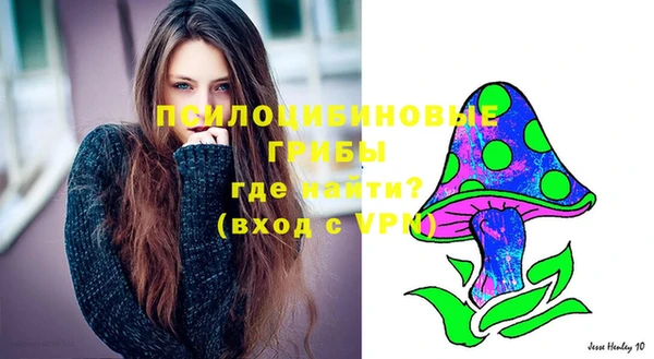 гашиш Белокуриха