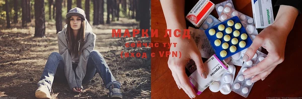 ПСИЛОЦИБИНОВЫЕ ГРИБЫ Богородск